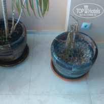 фото из отзыва ID 1393104