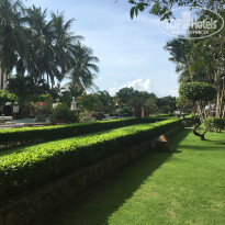 фото из отзыва ID 1393107