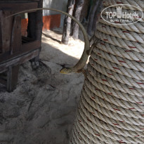 фото из отзыва ID 1393107