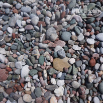 фото из отзыва ID 1393187