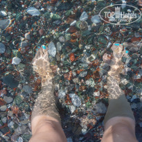 фото из отзыва ID 1393187