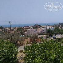 фото из отзыва ID 1393187