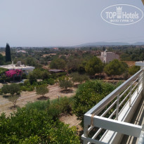 фото из отзыва ID 1393187