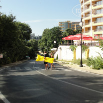 фото из отзыва ID 1393230