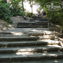 фото из отзыва ID 1393230