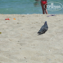 фото из отзыва ID 1393230