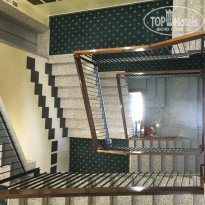 фото из отзыва ID 1393239