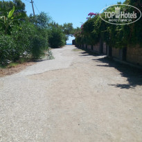 фото из отзыва ID 1393248