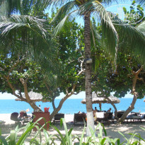 фото из отзыва ID 1393297