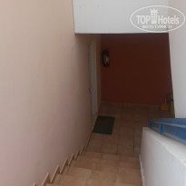 фото из отзыва ID 1393318