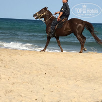 фото из отзыва ID 1393402