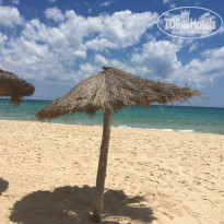 фото из отзыва ID 1393402