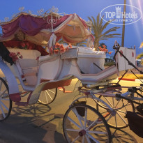 фото из отзыва ID 1393402