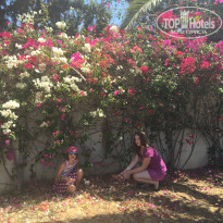 фото из отзыва ID 1393402