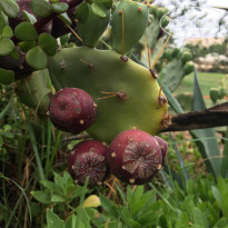 фото из отзыва ID 1393402