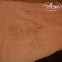 фото из отзыва ID 1393408