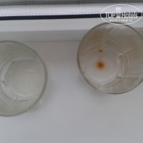 фото из отзыва ID 1393408