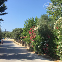 фото из отзыва ID 1393457