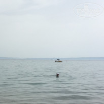 фото из отзыва ID 1393457