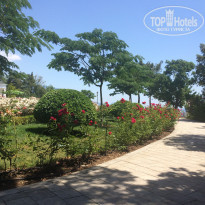 фото из отзыва ID 1393468