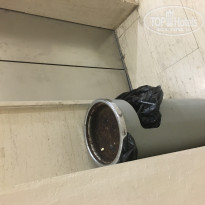 фото из отзыва ID 1393515