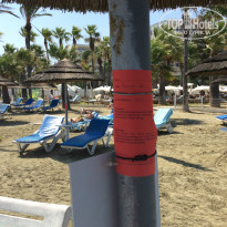 фото из отзыва ID 1393504