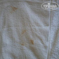 фото из отзыва ID 1393565