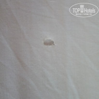 фото из отзыва ID 1393565