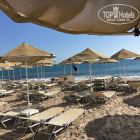 фото из отзыва ID 1393641