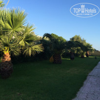 фото из отзыва ID 1393689