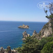 фото из отзыва ID 1393689