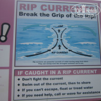 фото из отзыва ID 1393589