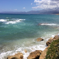 фото из отзыва ID 1393783