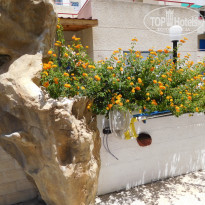 фото из отзыва ID 1393917