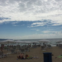 фото из отзыва ID 1393994