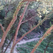 фото из отзыва ID 1394084