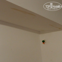 фото из отзыва ID 1394089