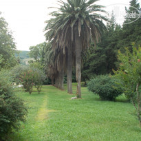 фото из отзыва ID 1394353