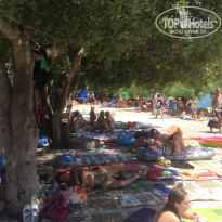 фото из отзыва ID 1394353