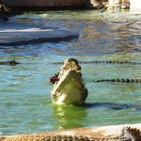 фото из отзыва ID 1394363