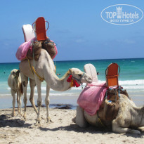 фото из отзыва ID 1394363