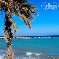 фото из отзыва ID 1394451