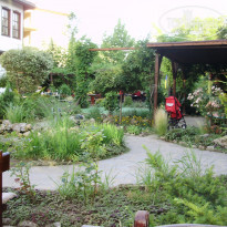 фото из отзыва ID 1394538