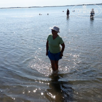 фото из отзыва ID 1394876