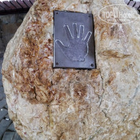 фото из отзыва ID 1394876