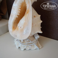 фото из отзыва ID 1394887