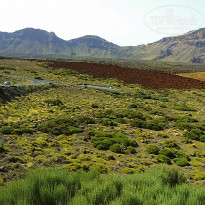 фото из отзыва ID 1394922