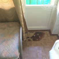 фото из отзыва ID 1394950