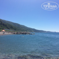 фото из отзыва ID 1394950