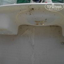 фото из отзыва ID 1394951